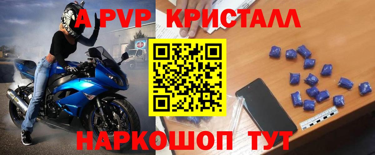 Грозный  Alpha PVP СК КРИС  Вход с VPN  Alfa_PVP  A PVP СК 