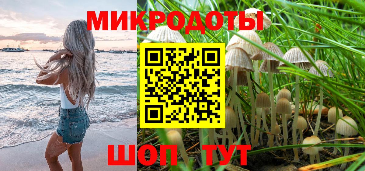 Галлюциногенные грибы Magic Shrooms  Вход с VPN  Галлюциногенные грибы мухоморы  Грозный 
